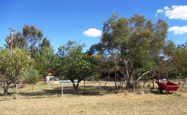 100 MELROSE ESTATE RD WARIALDA 011