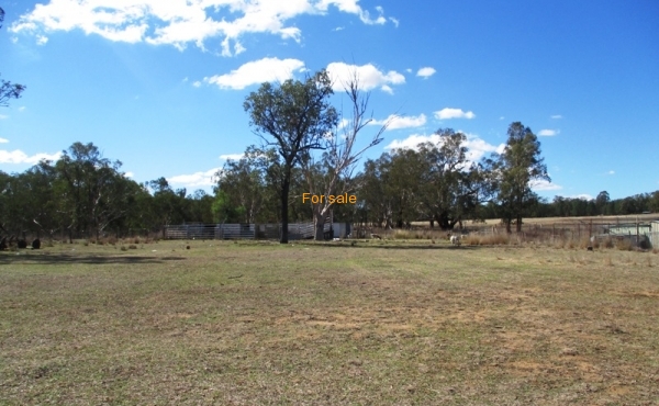 100 MELROSE ESTATE RD WARIALDA 029