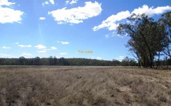 100 MELROSE ESTATE RD WARIALDA 031