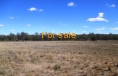 100 MELROSE ESTATE RD WARIALDA 037