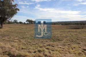 %johnmair & co%
